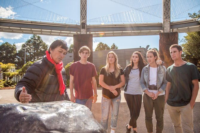 Rotorua Eco Cultural full day tour (Wai o Tapu, Waimangu,Te puia) - Who is This Tour Best For?