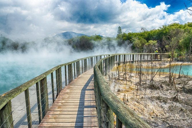 Rotorua Full Day Private Tour from Auckland - The Experience in Review: What Travelers Say