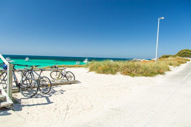 Rottnest Island Bayseeker Day Trip from Perth - Final Thoughts: Is It Worth It?