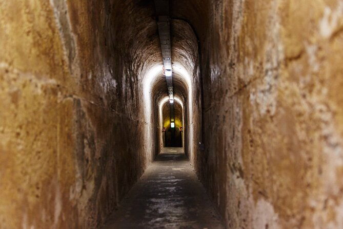 Rottnest Island Historical Train and Tunnel Tour from Hillarys Boat Harbour - Concluding Thoughts