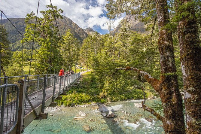 Routeburn Track Guided Walk (Half-Day) - Who Should Book This Tour?