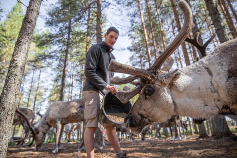rovaniemi-authentic-reindeer-farm-canoeing