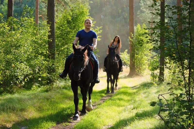 rovaniemi-horse-riding-in-arctic-wilderness
