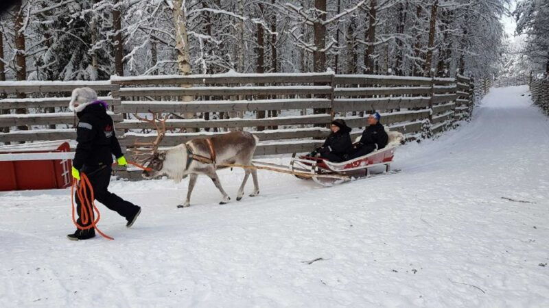 rovaniemi-husky-park-and-reindeer-farm-combo