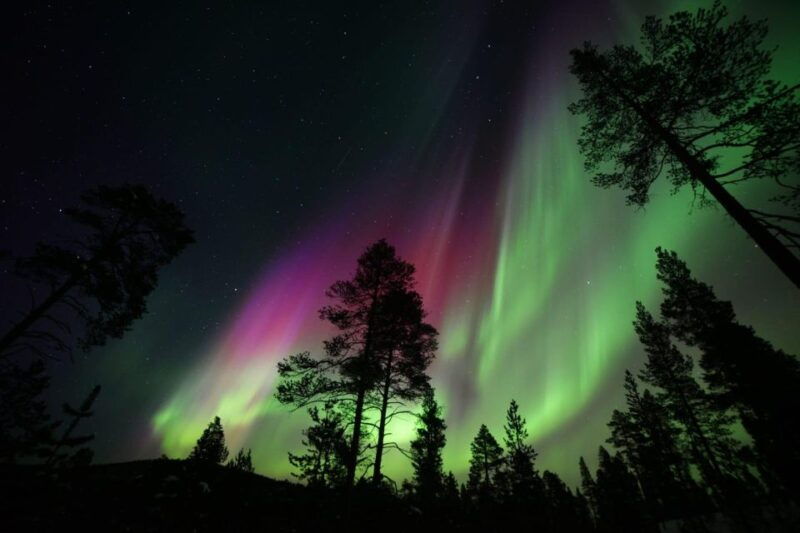 rovaniemi-private-midnight-aurora-borealis-expedition
