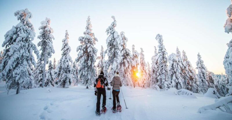 rovaniemi-snowshoe-wilderness-adventure