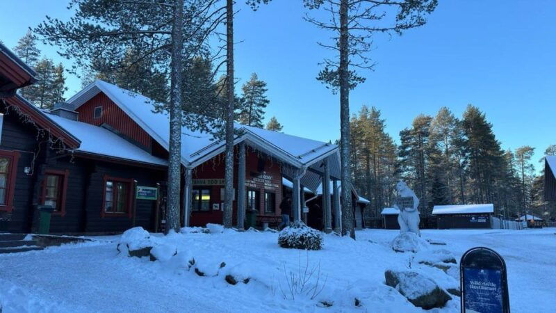 rovaniemi-trip-to-the-ranua-zoo-transportation-tickets
