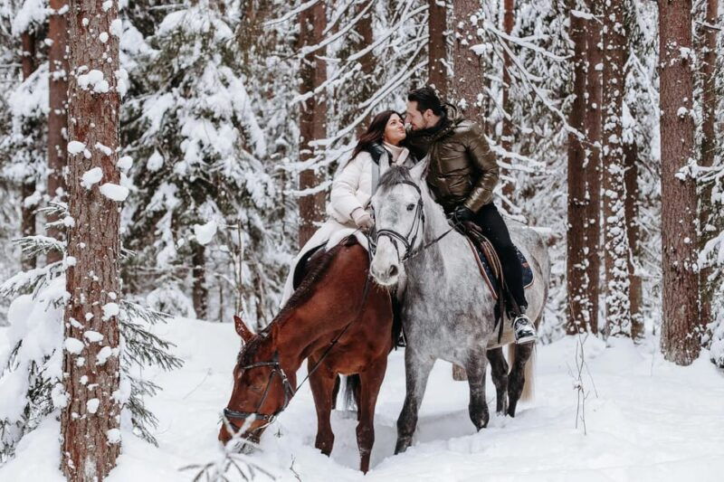 rovaniemi-winter-horse-riding-in-arctic-nature