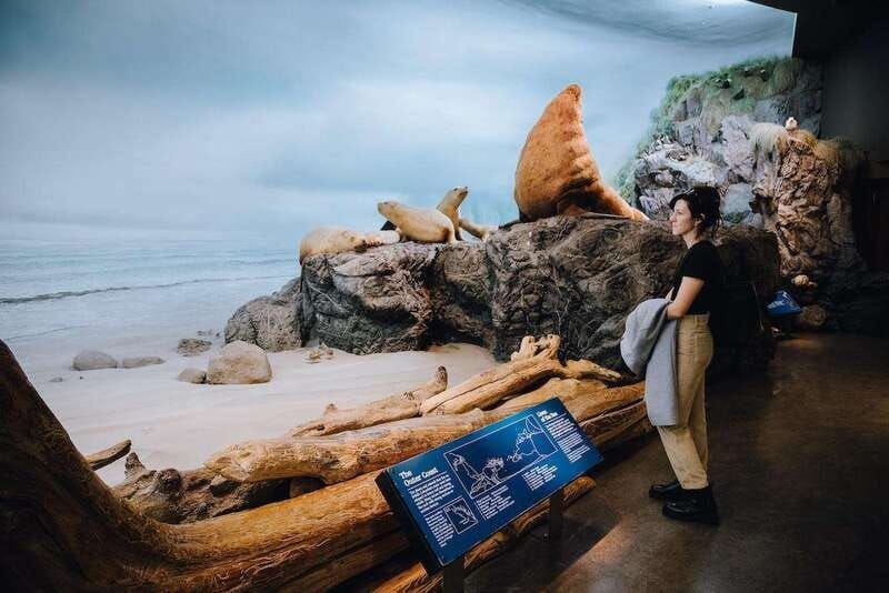 royal-b-c-museum-in-victoria-full-day-admission-ticket