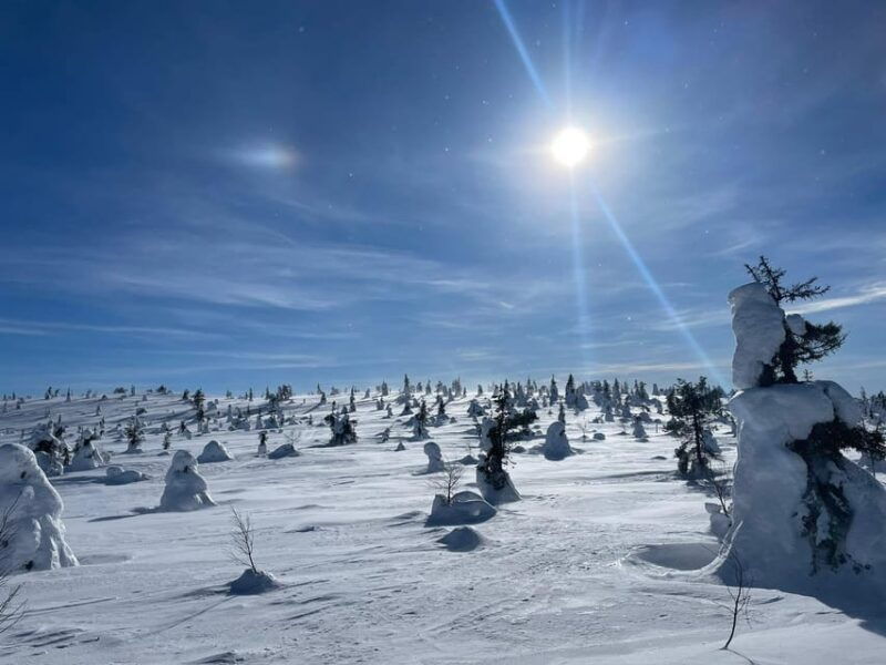 ruka-riisitunturi-national-park-with-lunch