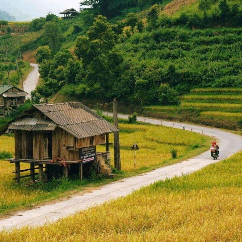 sa-pa-2-day-trekking-tour-with-ethnic-minority-homestay