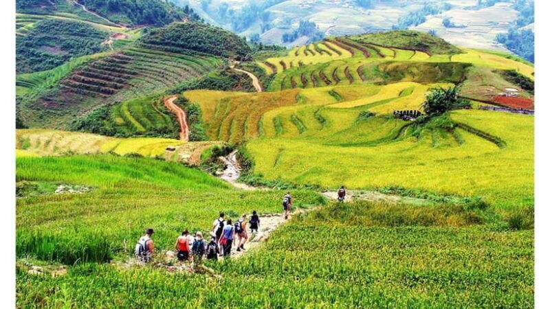sa-pa-muong-hoa-valley-trek-ethnic-villages-tour