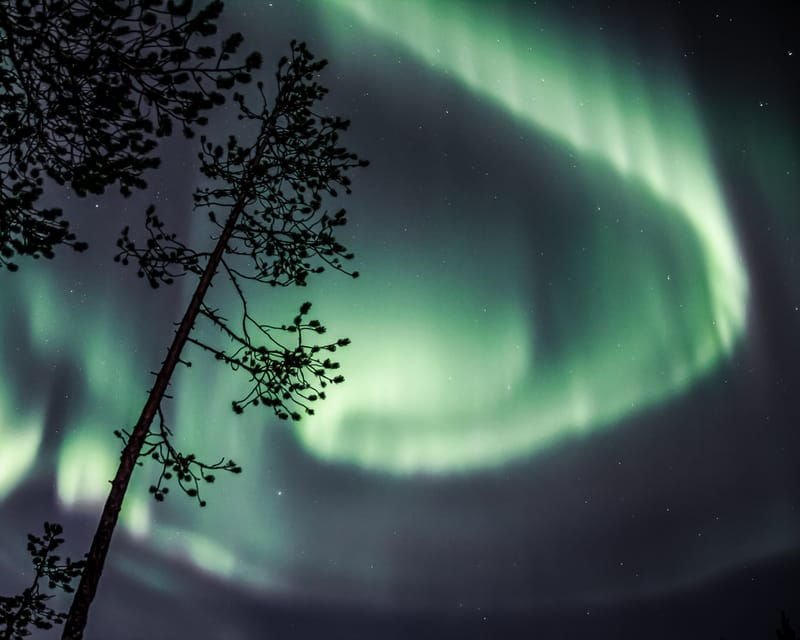 saariselka-aurora-photo-tour-by-car-with-transfer-drinks