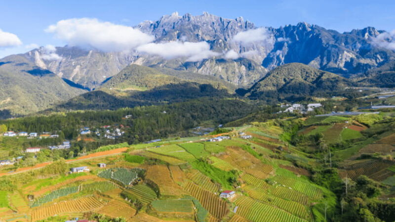 sabah-kundasang-nature-day-tour