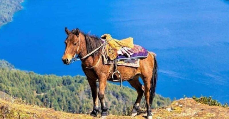 saddle-up-for-a-1-hour-horseback-riding-adventure-in-pokhara