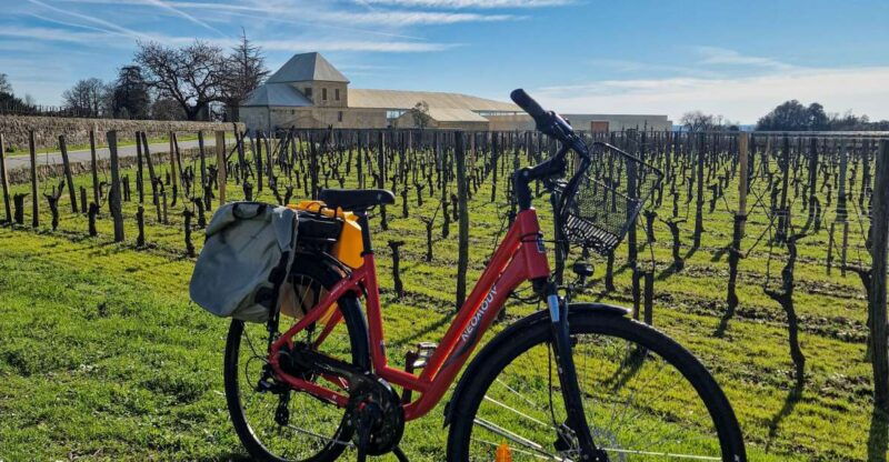 saint-emilion-half-day-ebike-and-wine-tour-with-picnic