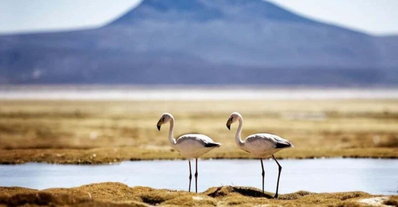 salinas-lagoon-adventure-full-day