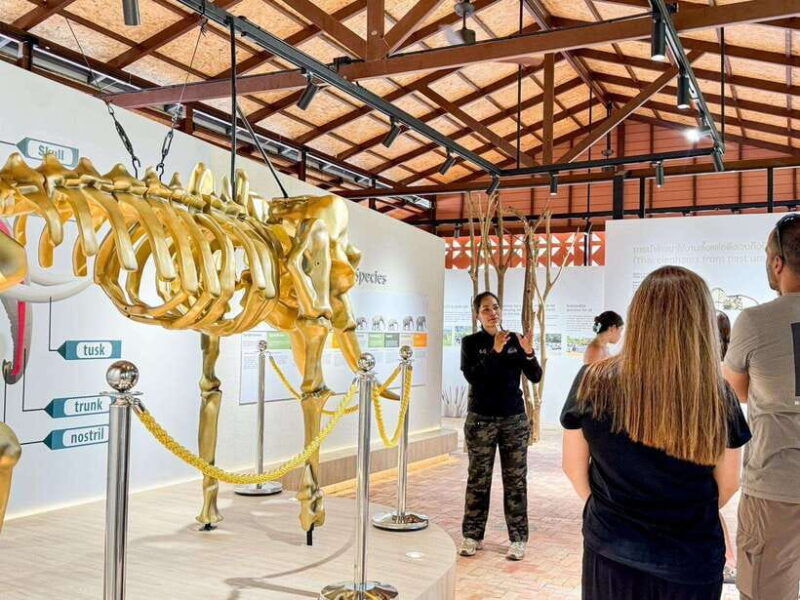 samui-the-first-elephant-museum-jungle-walk-with-elephant