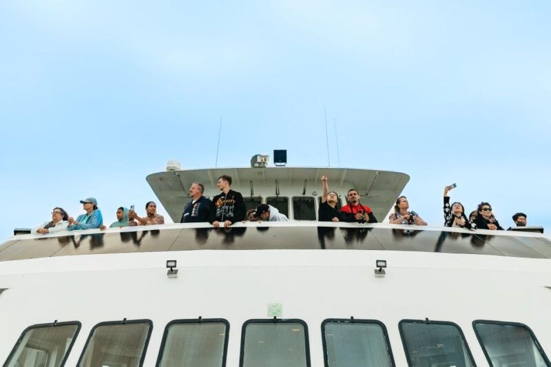 san-diego-whale-and-dolphin-watching-cruise