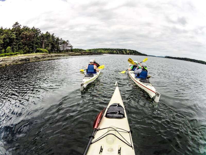 san-juan-island-full-day-kayaking-tour-with-lunch-2
