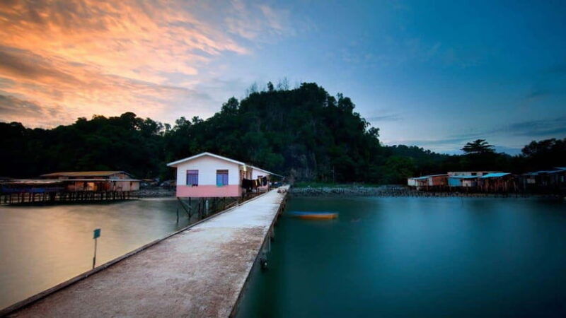 sandakan-orangutan-sun-bear-fireflies-and-mangrove-cruise