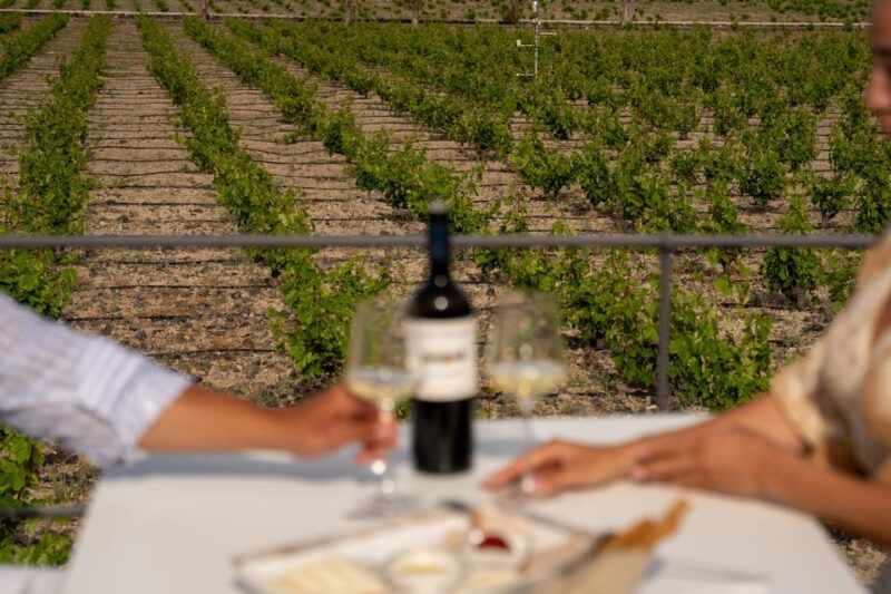 santorini-wine-o-clock-wine-tasting-private-tour