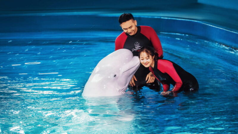 sanya-atlantis-lost-chambers-aquarium