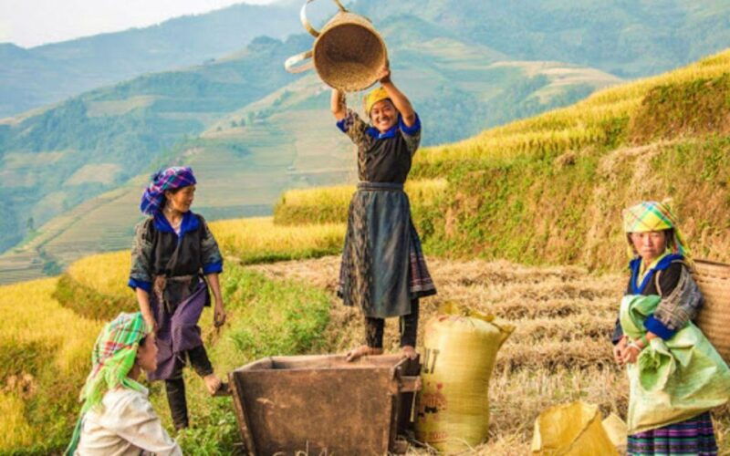 sapa-1-day-trekking-to-lao-chai-ta-van-village