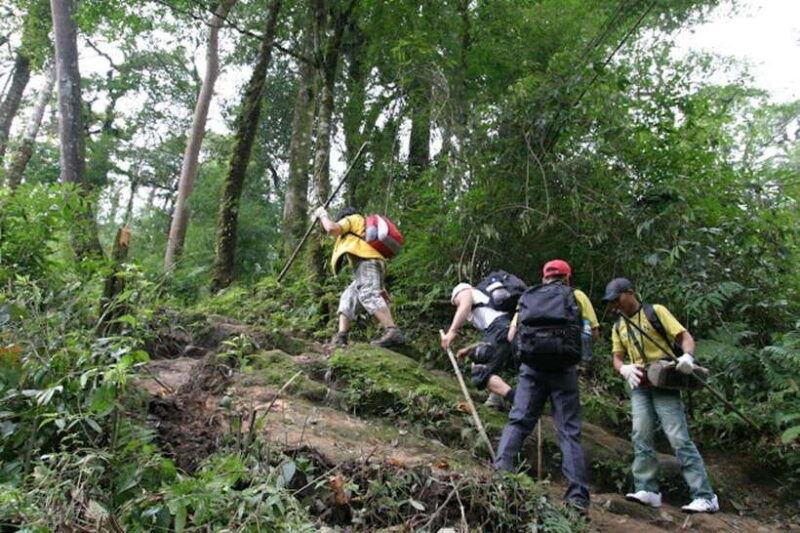 sapa-fansipan-peak-full-day-trek-with-lunch