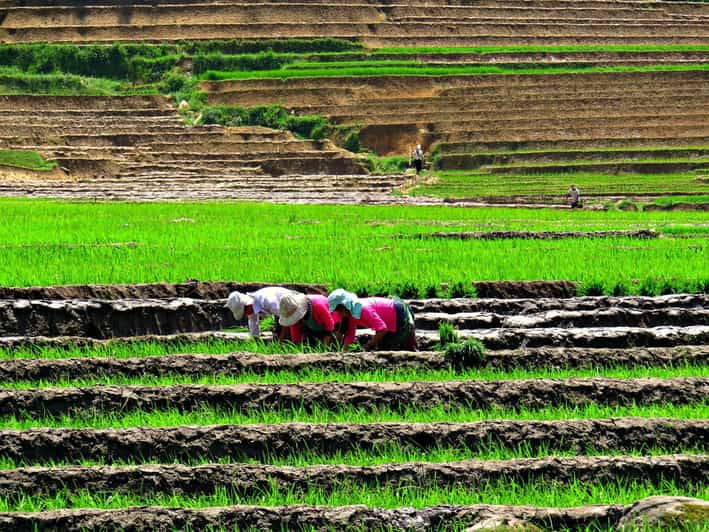 sapa-trekking-muon-hoa-2-days-1-night