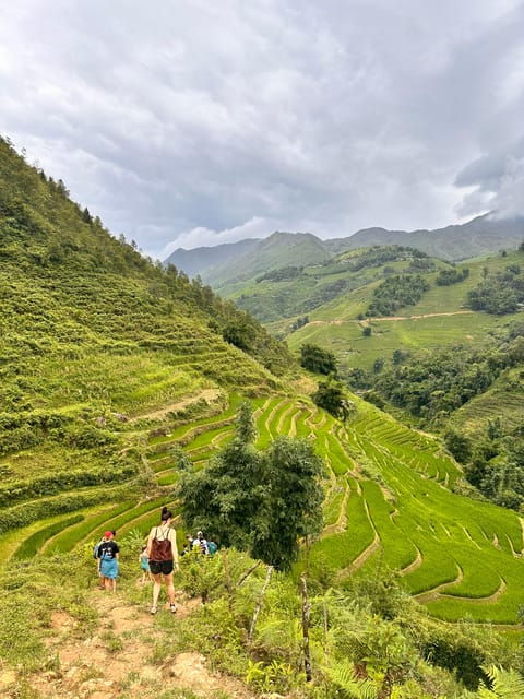 sapa-trekking-rice-fields-local-villages-bamboo-forest