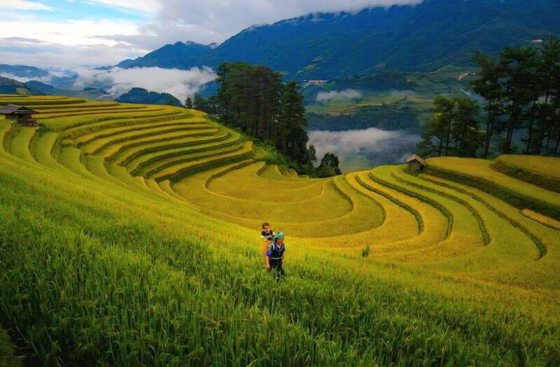 sapa-villages-and-rice-terraced-trekking-1day