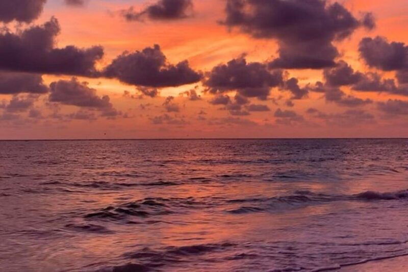 sarasota-siesta-key-electric-bike-sunset-tour