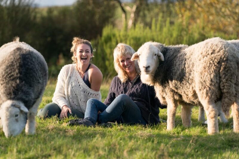 scotland-tea-retreat-with-naughty-sheep