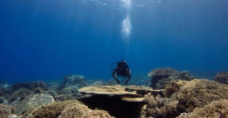 scuba-diving-3-islands-nha-trang-tour