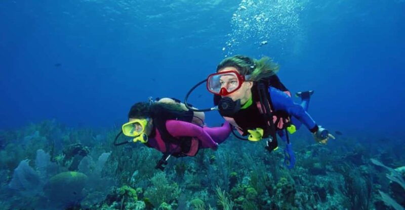 scuba-diving-tour-with-transfer-from-alanya-and-city-of-side-2