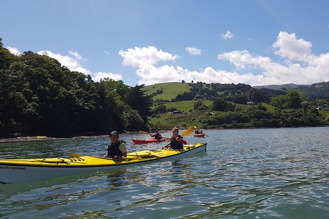 Sea Kayaking Christchurch, Lyttelton Harbour & Quail Island - The Sum Up