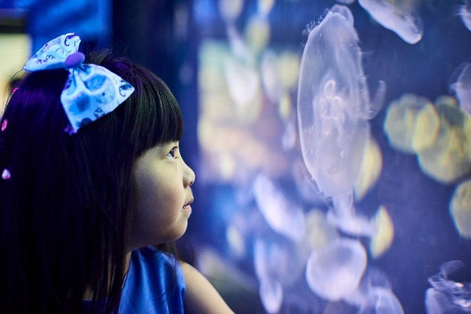 SEA LIFE Melbourne Aquarium Admission Ticket - Review Highlights from Visitors