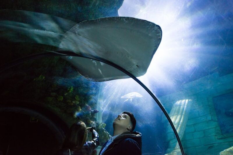 sea-life-porto-full-day-entrance-ticket
