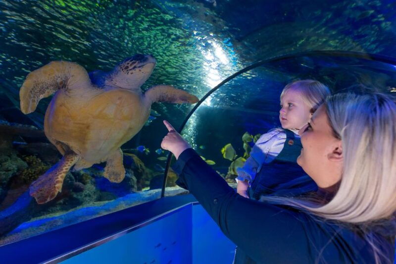 sea-life-scarborough