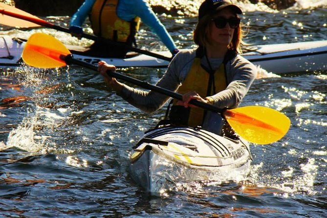 Self-Guided Sydney Middle Harbour Kayak 3 Hour Tour by Single Kayak - The Authentic Experience: What Reviewers Say