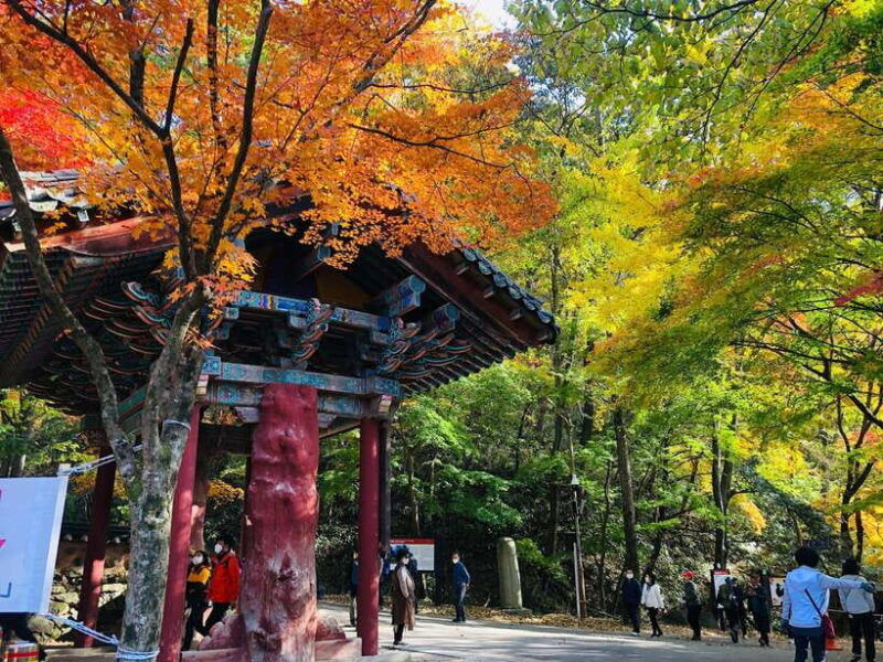 seoul-autumn-foliage-mt-naejang-jeonju-hanok-village