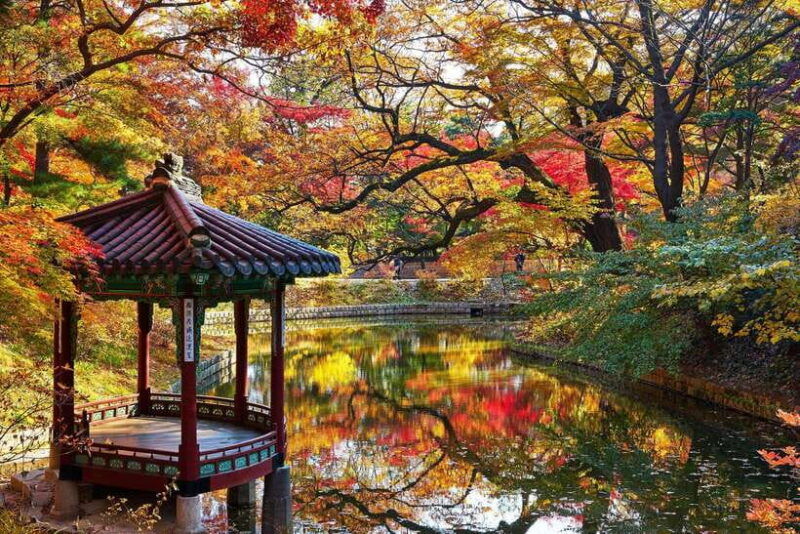 seoul-customized-private-walking-tour-with-a-local-guide