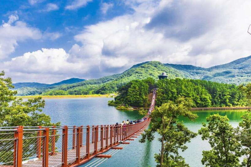 seoul-dmz-observatory-tour-with-suspension-bridge-or-boat