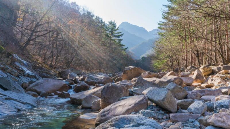 seoul-mt-seorak-hike-with-naksansa-temple-or-nami-island