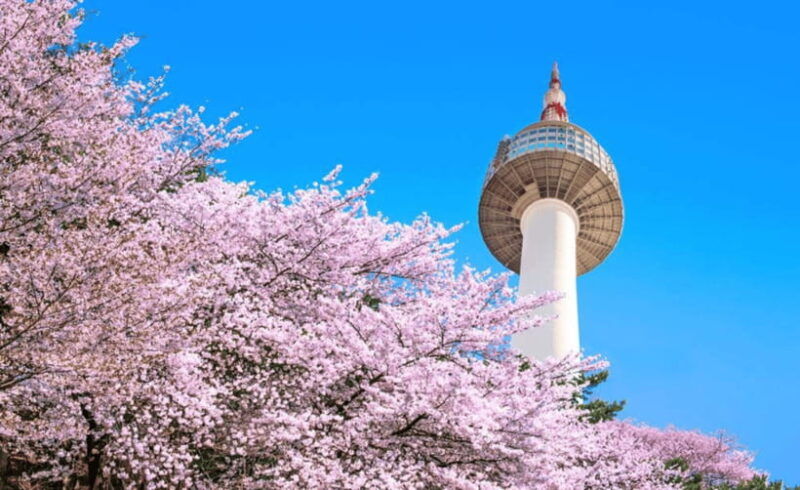 seoul-n-seoul-tower-observatory-ticket
