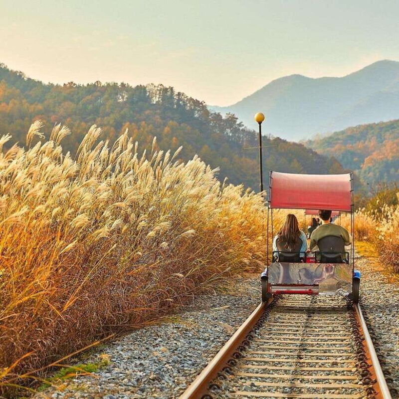 seoul-nami-rail-bike-morning-garden-healing-park