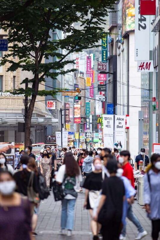 seoul-private-chartered-vehicle-carnival-van-city-tour