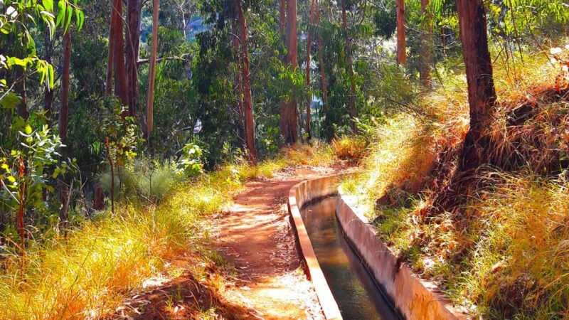 serra-de-agua-valley-levada-walk