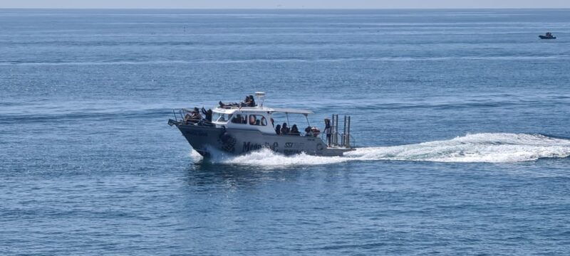 sesimbra-boat-trip-to-the-wild-beaches-and-caves